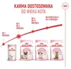 Royal Canin Chat – Trockenfutter für Mutterkatzen und Produktbild-Vorschau 21