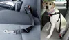 A split image showing a dog car seatbelt on a car seat and a dog wearing a harness in a car. Náhľad obrázku produktu