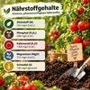 Tomatenerde 60 l – Nährstoffreiche Gemüseerde für gesundes Produktbild-Vorschau 4