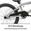 Bullseye Project 301 BMX 20palcové kolo, 2 pegy, 360° Náhled obrázku produktu 6
