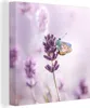 OneMillionCanvasses® - Leinwandbilder - Bild auf Leinwand Produktbild-Vorschau 1