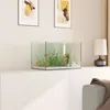 vidaXL Aquarium mit Speicher Transparent 40 x 25 x 25 cm Produktbild-Vorschau 4