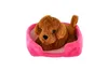 Pet in the bed peluche 4 colori 22x24cm 24m+ Anteprima dell’immagine prodotto 15