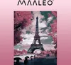 Tela Paint by numbers DIY 40 x 50 cm pennello vernice Anteprima dell’immagine prodotto 9