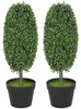 HOMCOM Kunstplanten set van 2, buxus, 60 cm, kunstplanten Productafbeelding-voorbeeld 1