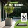PFLANZWERK® Pflanzenroller 38x38cm Pflanzkübel Blumentopf Produktbild-Vorschau 2