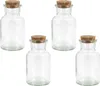 Vorratsgläser Glasflaschen mit Korken 4er Set Produktbild-Vorschau