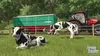 Farming Simulator: Signature Edition (NS2) Produktbild-Vorschau 3