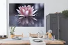 MuchoWow® Poster Rosa Blume im Wasser 180x120 cm - Produktbild-Vorschau 3