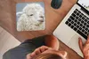 MuchoWow® Mauspad Mousepad Alpaka - Wolle - Weiß 20x20 cm - Produktbild-Vorschau 3