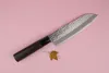 SekiRyu Nože Katei Hammered Santoku SRH100 Náhled obrázku produktu 4