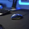 Trust GXT 109 Felox myszka Po prawej stronie USB Typu-A Podgląd zdjęcia produktu 10