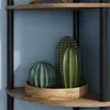 Libreria Vicco Bivio Rovere dorato/antracite 29 x 163.5 cm Anteprima dell’immagine prodotto 4