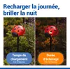Maximex Solar LED Gartenstecker Marienkäfer, 4er Set, rote Produktbild-Vorschau 7
