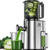 CelerySpec SJ-048-EU-SS Wolnoobrotowa Sokowirówka - 250W Podgląd zdjęcia produktu 1