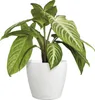 Stolní květináč LECHUZA CLASSICO Colour 12 DECO White | Náhled obrázku produktu 15