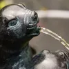 A close-up of a bronze fountain sculpture of two seals, with water spraying from the mouth of one seal. Produktbild-Vorschau