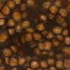 Food-United GEKOCHTE LINSEN 2x 420ml ATG 240g Dose Konserve Produktbild-Vorschau 2