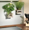 Tesa Powerstrips Large Podgląd zdjęcia produktu 14