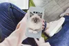 MuchoWow® Handyhülle Schutzhülle Hülle für Samsung Galaxy Produktbild-Vorschau 3