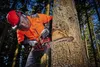 Einhell Power X-Change Akku-Kettensäge GE-LC 36/35 Li-Solo Produktbild-Vorschau 4