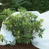 GARDENIX® 32 m² Non-tissé d'hiver pour plantes 50g/m² - Voir les images du produit 4