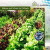 TTL GARDEN Tunnelbögen ARCOS 60-12er Set + Vogelschutznetz Produktbild-Vorschau 7