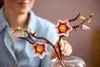 Äste mit Magonolien Blüten Produktbild-Vorschau 22