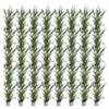 Green boutiQ - 40x Cupressocyparis leylandii 2011 - Produktbild-Vorschau 2