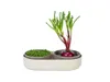 Plastia MICROGREENS + miska na klíčenie Regrow - slonová Náhľad obrázku produktu 3