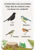 50 Entdeckerkarten - Suchspiele in der Natur Productafbeelding-voorbeeld 2