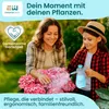 Expertenwerk Drucksprüher 1,5L Pumpsprüher Gartenspritze Produktbild-Vorschau 2