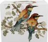 DUO World of Birds XXL Becher 1000 ml EUROPEAN BEE-EATER Produktbild-Vorschau 3