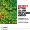 Canon CLI-531 GY, Grau, 1 Stück(e), Einzelpackung Produktbild-Vorschau 9