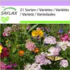 SAFLAX - motýľová lúka - Mix - 1000 Semená Náhľad obrázku produktu 4