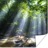 MuchoWow® Poster Sonnenstrahlen dringen durch die Bäume in Produktbild-Vorschau 1