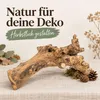 Kuwa Deko-Wurzel 25-30 oder 40-50 cm Maulbeerbaum Morus Produktbild-Vorschau 3