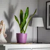 KADAX Matte Blumentopf "Agen", Pflanzkübel mit Untersetzer, Produktbild-Vorschau 14
