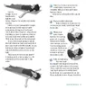 The Miracle Ball Method, Revised Edition Produktbild-Vorschau 6