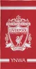 Liverpool FC - Badetuch "You´ll Never Walk Alone", Produktbild-Vorschau 1