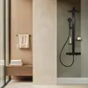 Brausegarnitur Ceratherm Alu+ silk black mit Produktbild-Vorschau 18