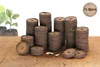 Artikelbild 18 von '36 mm Torf Quelltabletten' aus der Kategorie Torf Quelltabletten Produktbild-Vorschau