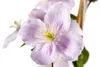 Clematis montana 'Rubens', Berg-Waldrebe, rosa Blüten, Produktbild-Vorschau 1