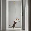 3x giocattolo per gatti coda di piume di uccello + elastico Anteprima dell’immagine prodotto 7