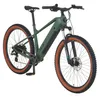 A green electric mountain bike with bronze tires is shown against a white background. Produktbild-Vorschau