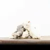 A pile of dried rabbit feet with fur on a wooden surface. Produktbild-Vorschau