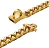 Goldenes Hundehalsband mit sicherem Schnallendesign, Produktbild-Vorschau 3
