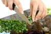 Glasschutzplatte für den Herd 80x52 Orchidea Produktbild-Vorschau 8