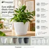Prosperplast Pflanzentopf - Kunststoff - steingrau - D15 x Produktbild-Vorschau 2
