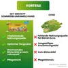 Greenyp Sommer Blumenmischung I 100g für 100m² I Produktbild-Vorschau 3